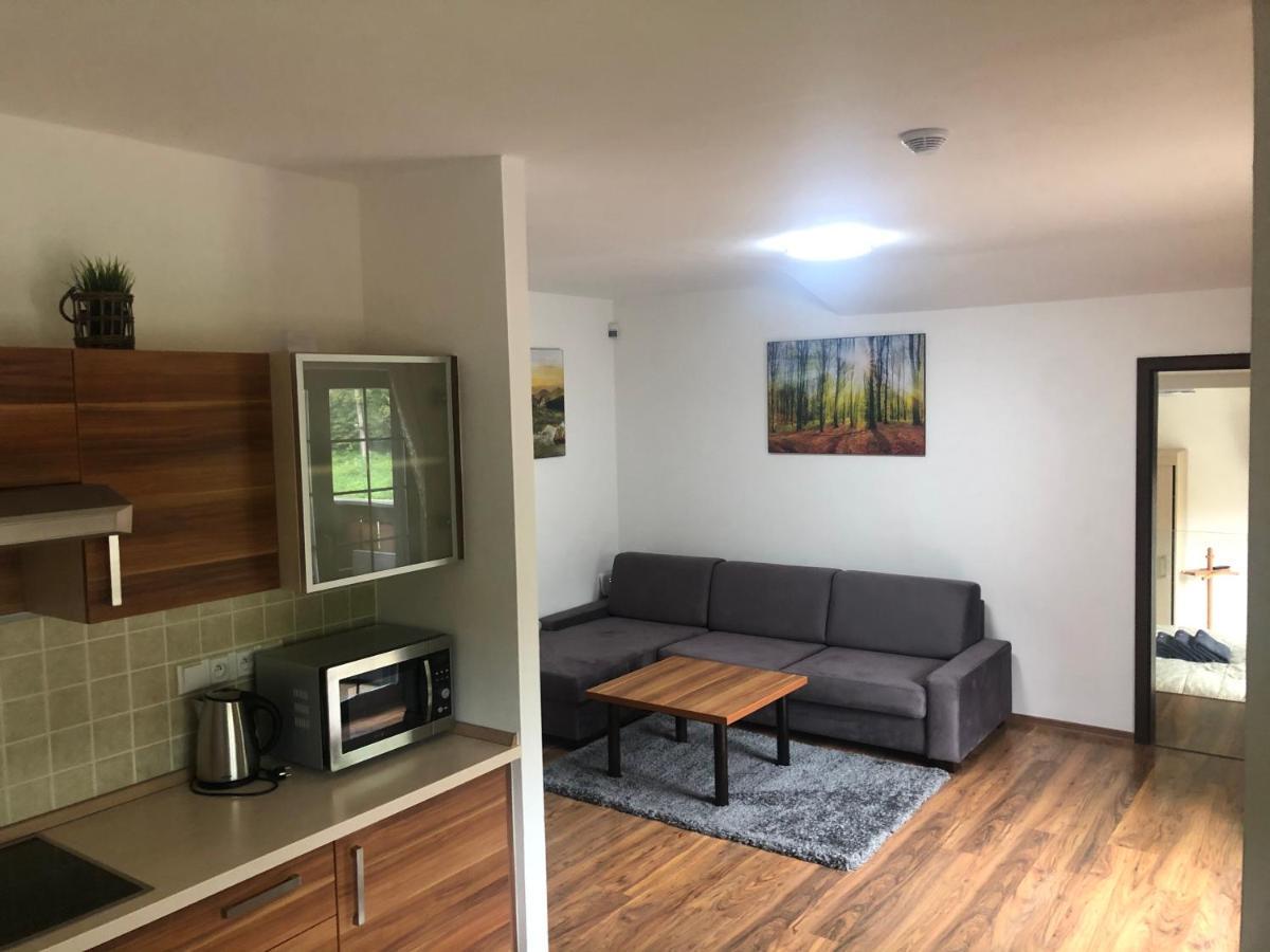 Appartamento Vila Helena - Apartmán Helena 15 Ruzomberok Esterno foto
